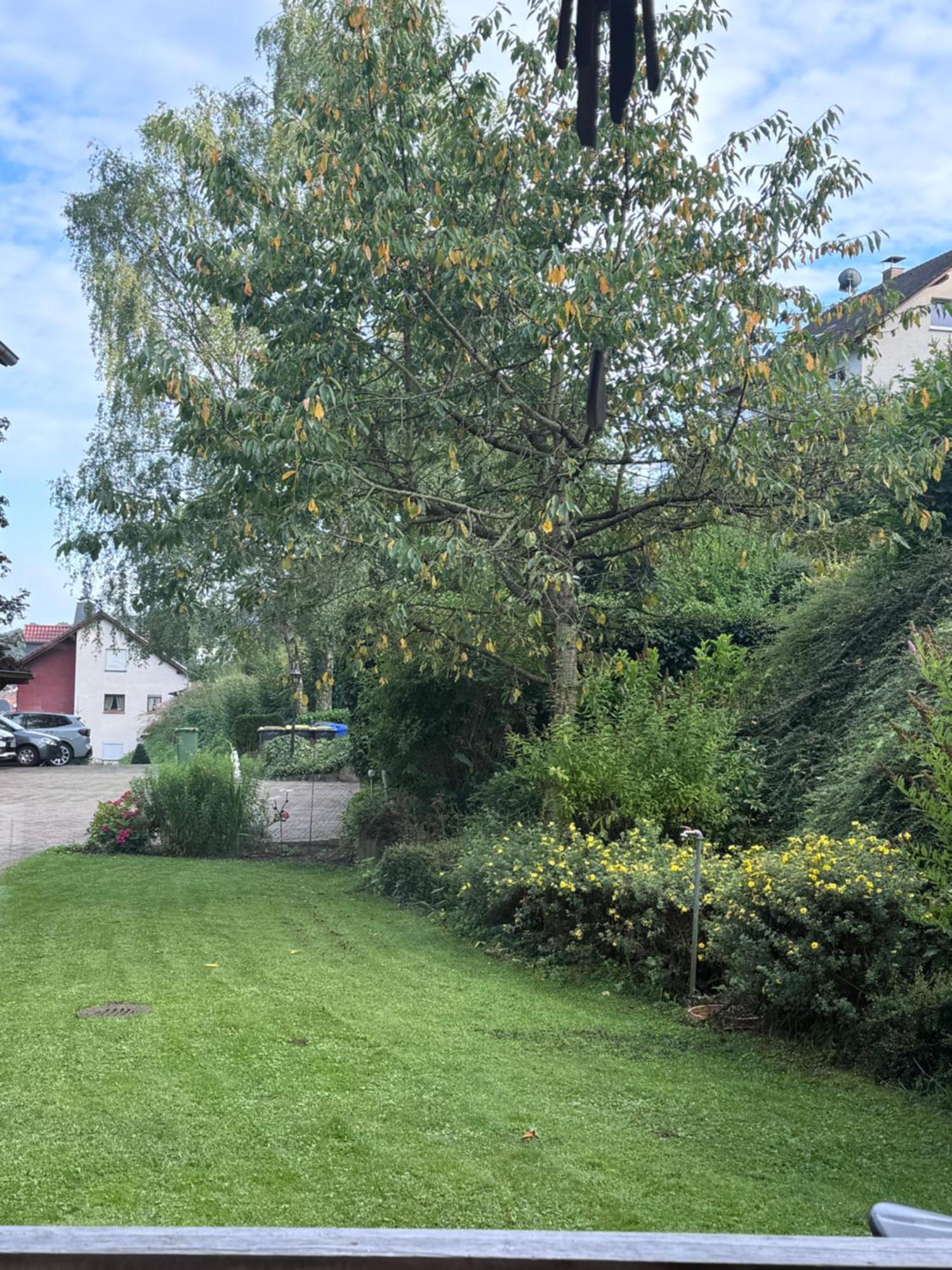 Apartment Zum Aatal Bad Wünnenberg Dış mekan fotoğraf